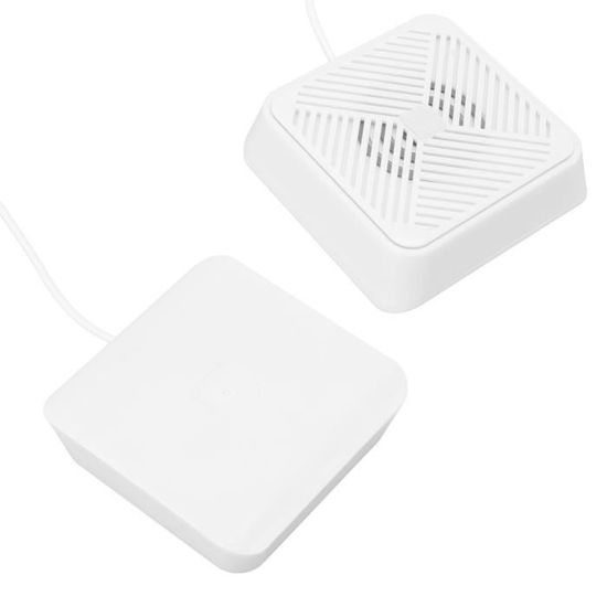 Thermomètre De Cuisson Bluetooth BlueSwan - 2 Sondes IP67 - Pour BBQ, Four, Fumoir