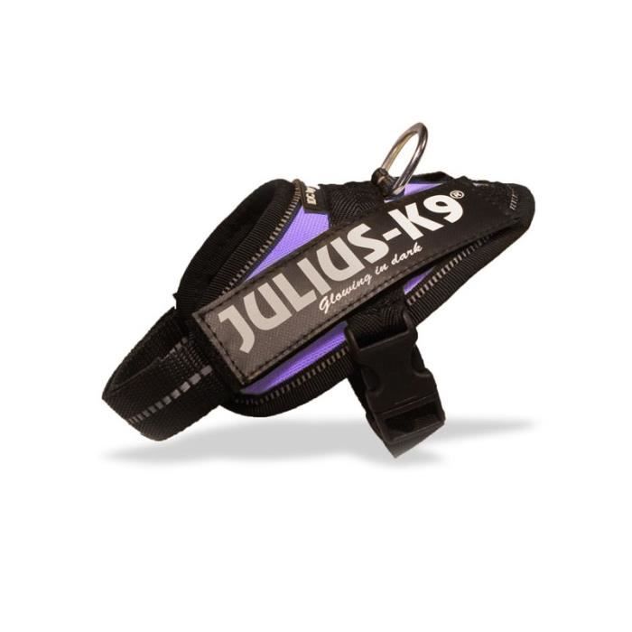 Julius K9 - Harnais IDC-POWER Baby - Mauve - Baby 1 - Unique