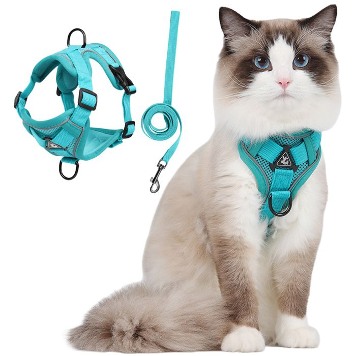 Comparer les prix de Harnais Chat- Harnais Petit Chien avec Laisse Réglable Respirant Refléchissant Laisses Colliers Chat-M-vert
