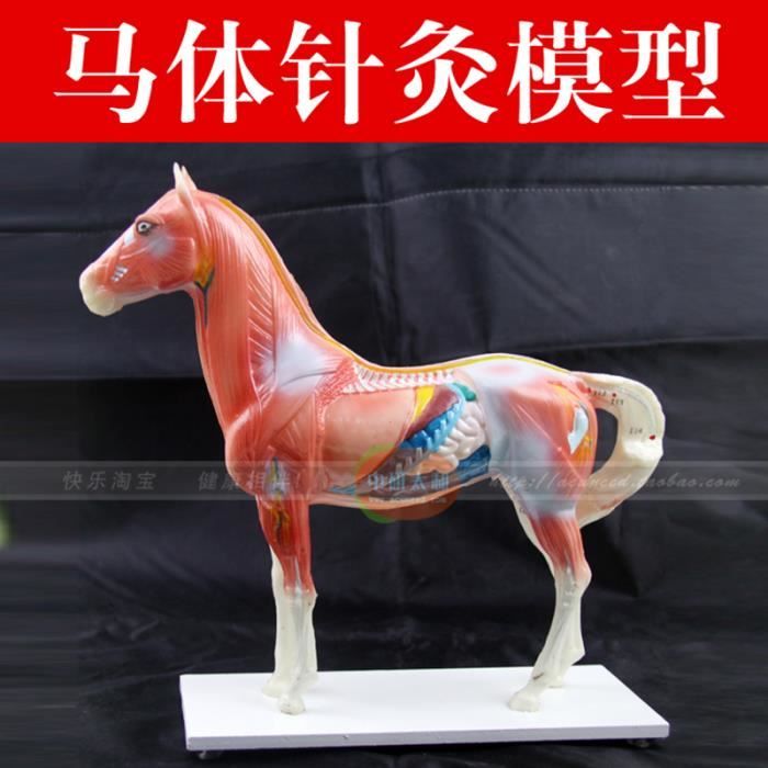 Cheval De Bois 19ème De Fabrication Artisanale