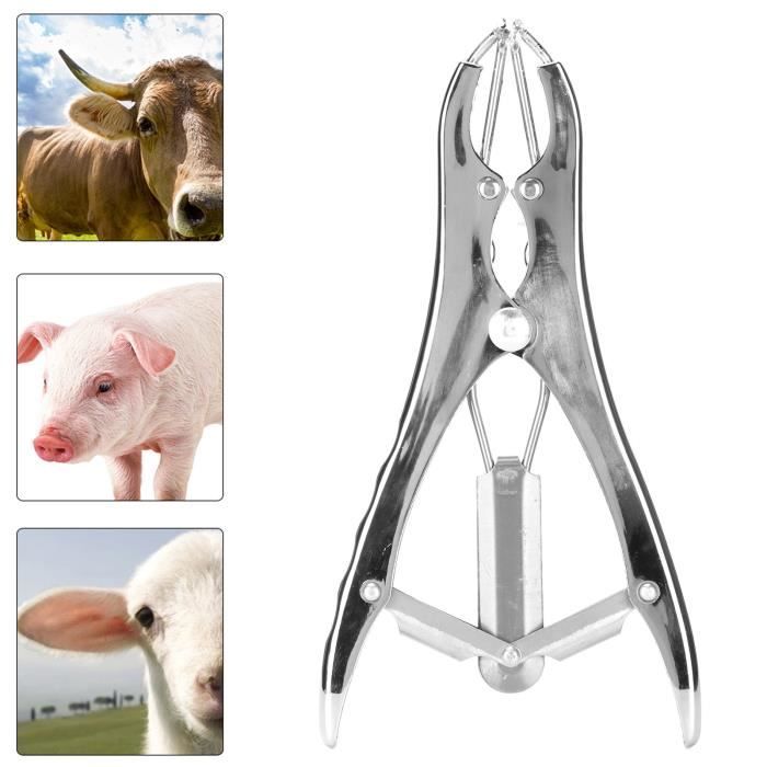 Pinces à Castration Pour Agneaux - Acier Antirouille, Longueur 23 Cm