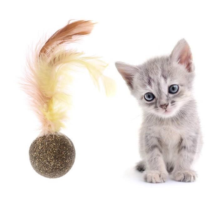 P85 Jouet Pour Chat Boule D Herbe A Chat Catnip Jouet Chats Chat Nettoyage Des Dents Naturel Nourriture Jouet Plum Cdiscount
