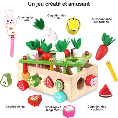 Lubolee Jouet Enfant 2 3 Ans, Jeux Montessori Pêche a la Ligne pour Enfant 2 3 Ans en Français - Jeu Educatif 2-3 Ans de Tri pour Enfant, Cadeau d'anniversaire ou Cadeau Lubolee Jouet Enfant 2 3 Ans, Jeux Montessori Pêche a la Ligne pour Enfant 2 3 Ans en Français - Jeu Educatif 2-3 Ans de Tri pour Enfant, Cadeau d'anniversaire ou Cadeau