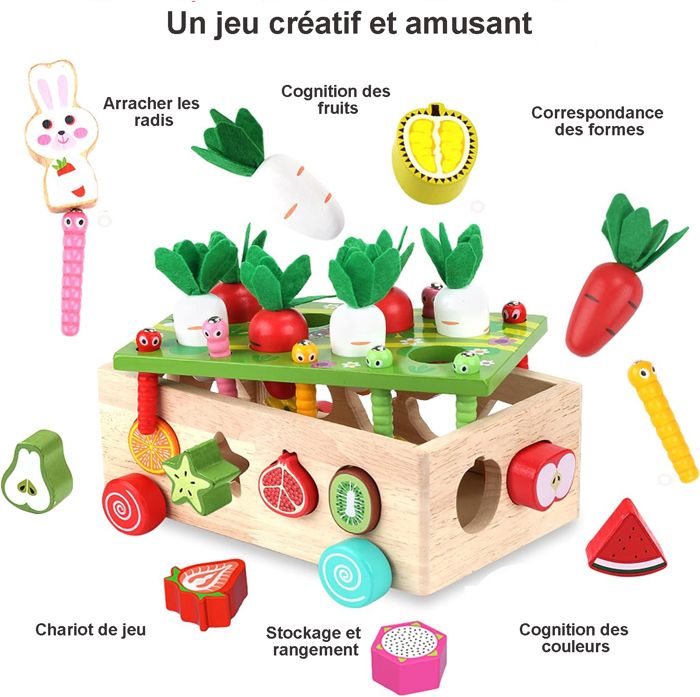 Jeu de tri Montessori en Bois – Pour Les Petits