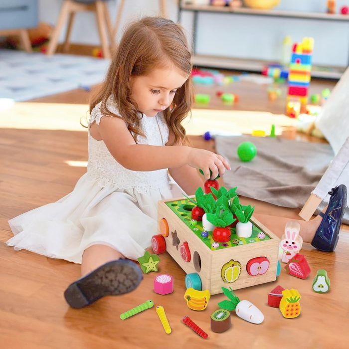 Jouet Montessori 1-3 Ans – Boîte à Trier Et 16 Bâtonnets En Bois 8 Couleurs – Sensoriel Et Éducatif – Cadeau Idéal