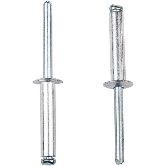 500 Rivets Pop Alu Acier Tête Plate Diamètre 4.8 Mm Longueur 18 Mm ...