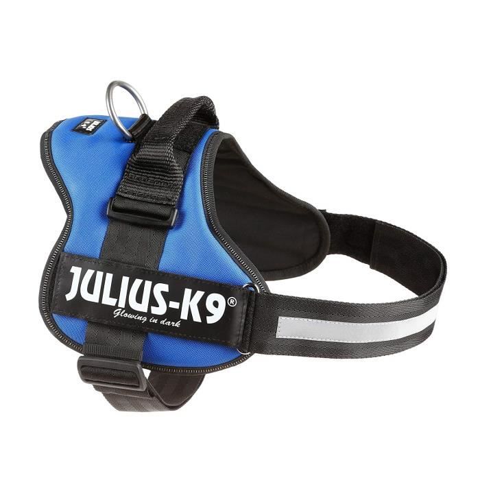 Julius-K9, 162B2, Powerharness, Taille: 2, Bleu