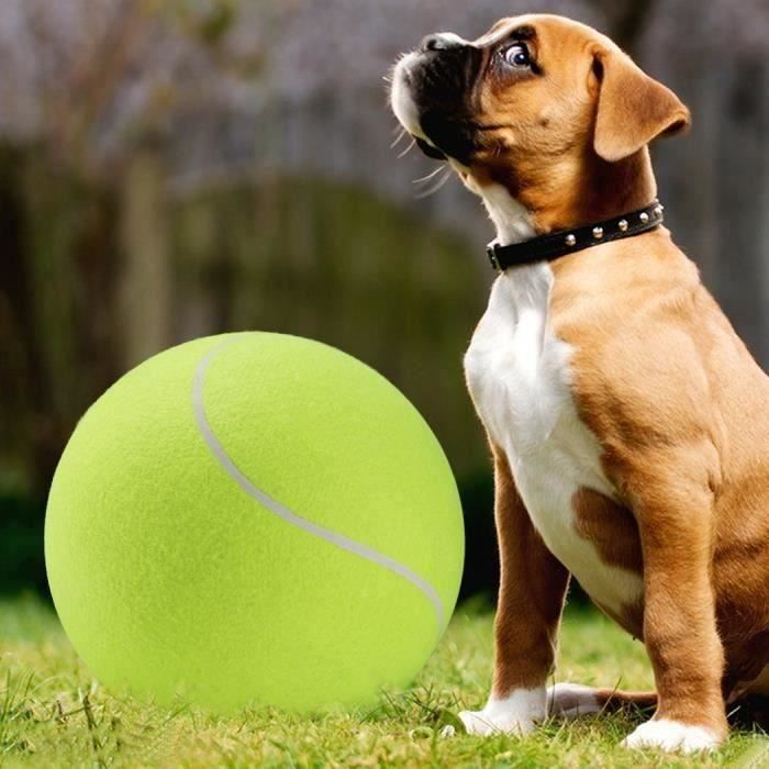 Balle de Tennis Tennis Jouet d'animal Produit de sport Jouet d'exercice Da06190