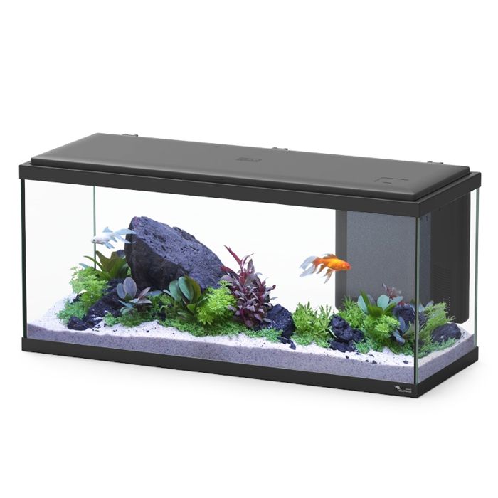 Comparer les prix de Aquarium poisson Explorer Amsterdam Bio 85L noir - Aquatlantis Noir