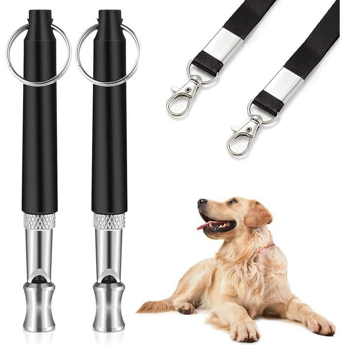 Jouet de dressage et de rappel pour chien