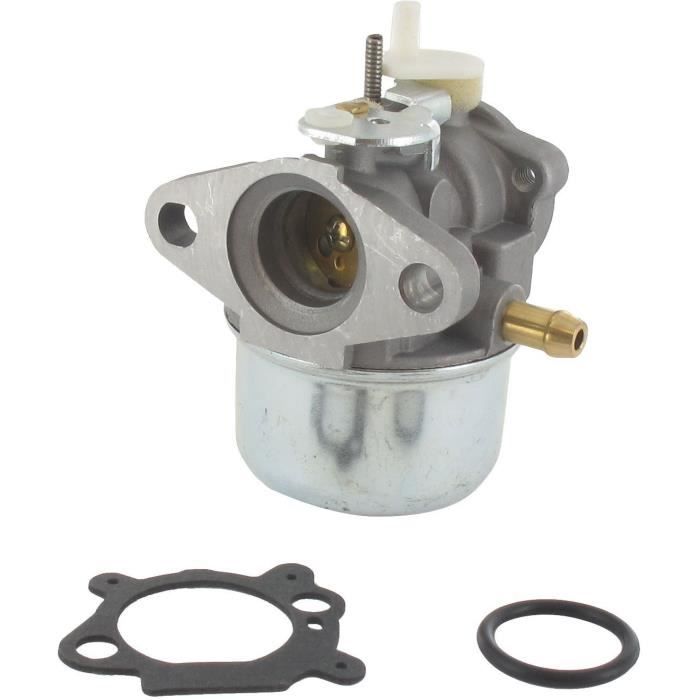 Carburateur BRIGGS ET STRATTON 499059 - 497586