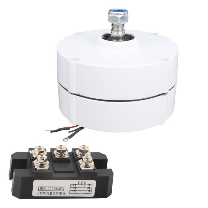 Générateur Éolien Aimant Permanent NE-300 300W 12V/24V 750 Tr/min – Alternateur Synchrone Triphasé Avec Redresseur Optionnel