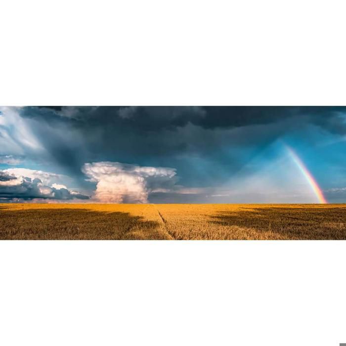 Puzzle 1000 pièces panoramique : Arc-en-ciel mystique (Nature edition) Puzzle 1000 pièces panoramique : Arc-en-ciel mystique (Nature edition)