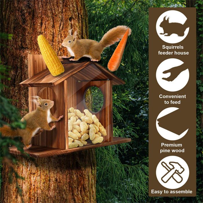 Tidyard Maisons pour écureuils, Maison ecureuil, Squirrel Feeder 4 pcs Bois de Sapin