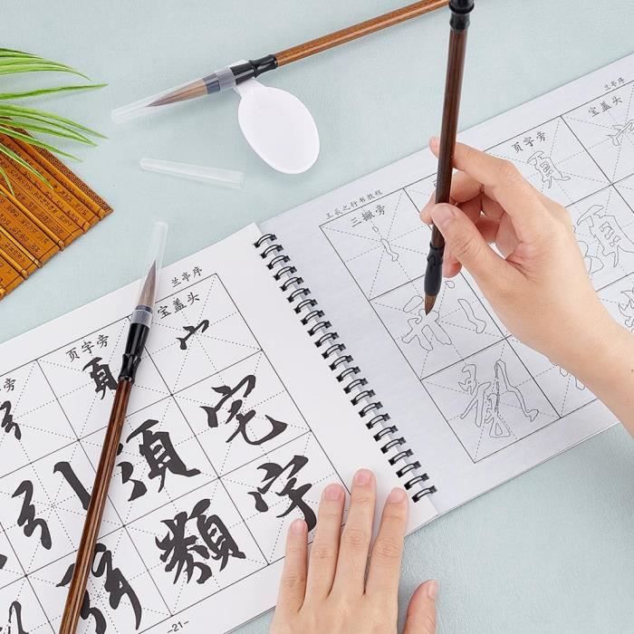 Kit Calligraphie Chinoise PH PandaHall - 4 Tissus Magiques + 3 Pinceaux + Bac à Encre