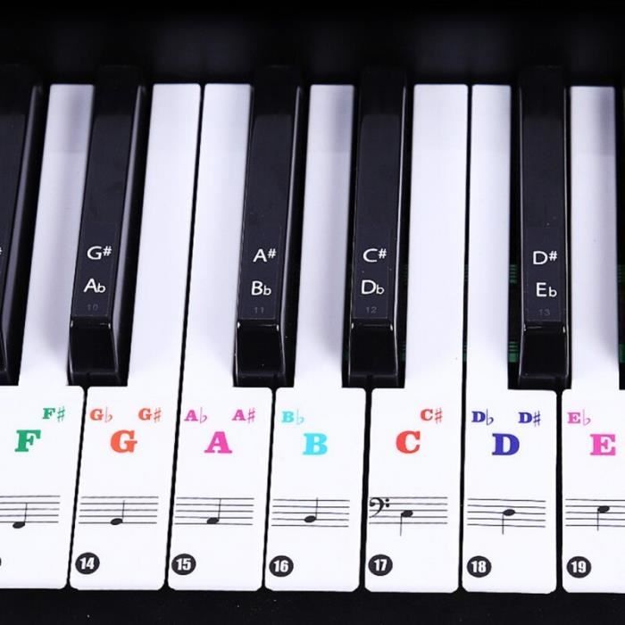 Autocollants de notes de clavier de piano pour touches blanches pour  claviers jusqu'à 88 touches. Lettres colorées lumineuses, transparentes 