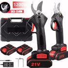 PRUMYA Sécateur électrique sans fil, sécateur, bonsaï, outil électrique avec 2 batteries, 21V, 1200W, 25mm