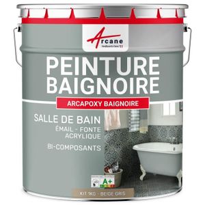 PEINTURE - VERNIS Peinture baignoire et lavabo - émail, acrylique et fonte-   RAL 7011 Gris fer - Kit 1 Kg jusqu'a 3m² pour 2 couches