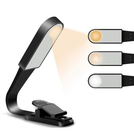 Lampe à Clip 10 LEDs - Alimentation USB Ou Piles AA - Angle Réglable, Lumière Froide - Parfaite Pour Lecture, Bureau, Camping