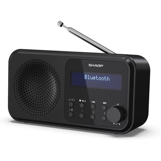 Radio Numérique Portable Rechargeable - Double Canal, Réveil, Mémoire 20 Stations, Haut-parleur Externe, Noir