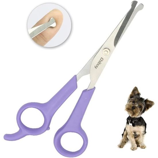 Ensemble De Ciseaux Professionnels Pour Toilettage Chien/chat - Neuf
