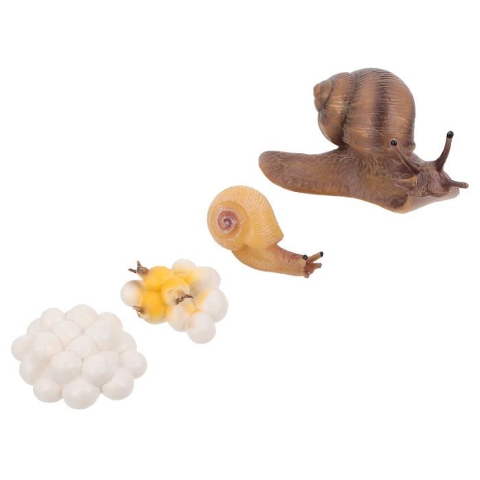 4 pcs Vivid Réaliste Escargot Décorations Croissance Cycle Statues Animaux MOULE A GATEAU - MOULE DE PATISSERIE