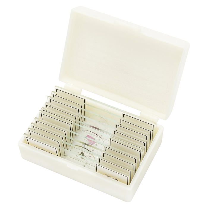 Bresser 30 Lames Préparées Thème Animaux – Coffret Bois Pour Microscope – Apprentissage Scientifique Enfant
