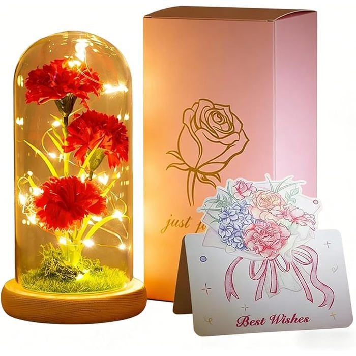 Oeillet Artificiel dans Un dôme Transparent pour Maman Cadeau anniversaire oeillet éternel avec Rouge + Burlywood