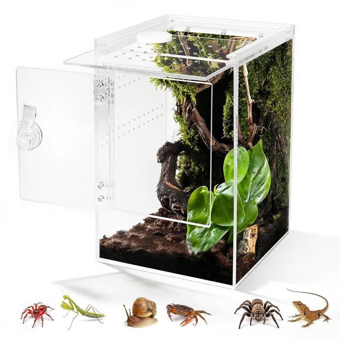 Terrarium cylindrique acrylique transparent 360° - 23 x 15 x 15 cm ouverture 29 cm porte latérale ventilation - araignée phasme