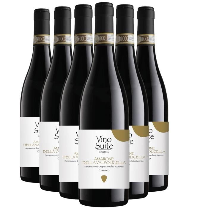 Amarone Della Valpolicella Classico Rouge 2015 - Lot de 6x75cl - Vino