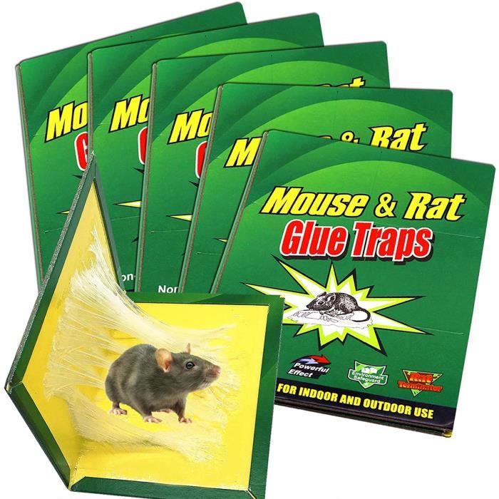 Piège à Souris Pièges à Rats 5 Plaques, Pièges à Souris AEC Colle pour Souris, Plaques Ultra Collante pour Souris et Rats