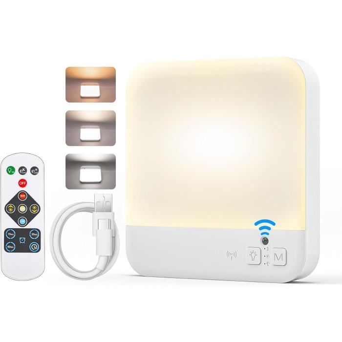 Spot LED Mural à Piles Avec Télécommande - 4000K, Tête Pivotante, Intensité Variable - Pour Vitrine, Illustration, Décoration - 10