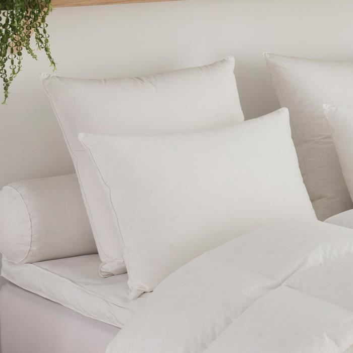 DODO Lot de 2 oreillers Tendance - 60 x 60 cm - Garnissage 100% Polyester  fibre creuse siliconée - Blanc - Cdiscount Maison