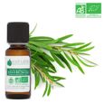 Huile essentielle arbre a the