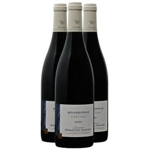 VIN ROUGE Bourgogne Pinot Noir Rouge 2021 - Lot de 3x75cl - 