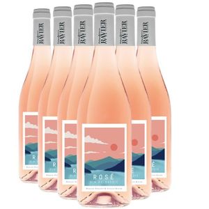 VIN ROSE Vin de Savoie Rosé 2022 - Lot de 6x75cl - Philippe et Sylvain Ravier - Vin AOC Rosé de Savoie - Bugey - Cépage Gamay