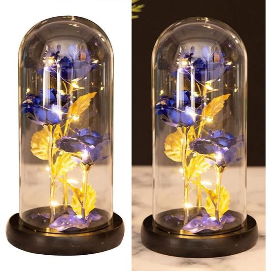 Rose Éternelle Sous Cloche Avec LEDs - Cadeau Fête Des Mères, Saint-Valentin - Décoration Romantique