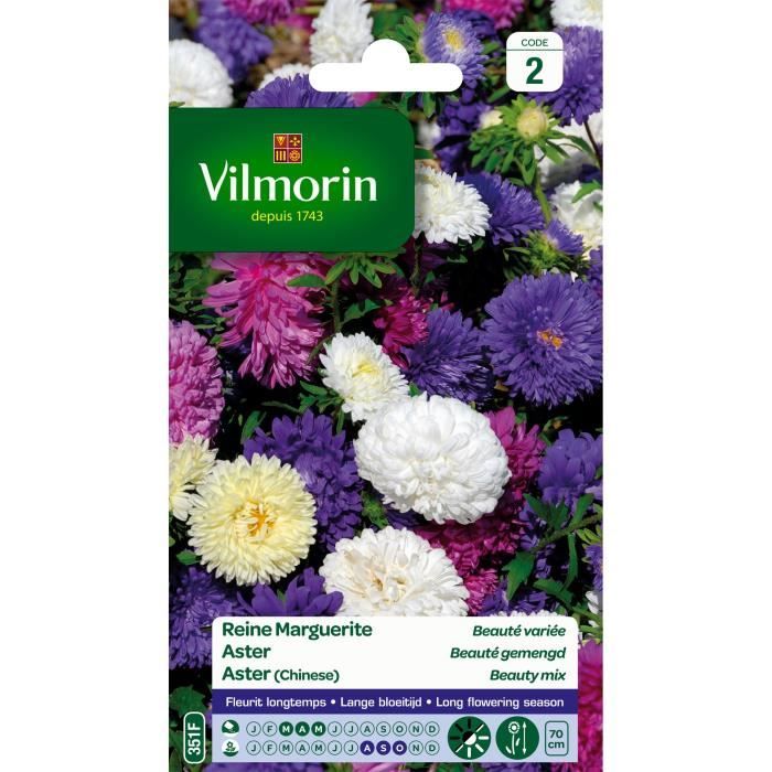 VILMORIN Reine marguerite Beaute variée