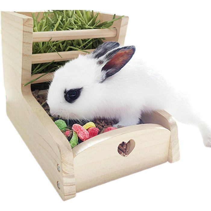 Lot 8 Lapins à Remonter Avec Carottes – Jouet Pâques – Sans Piles – Dès 3 Ans