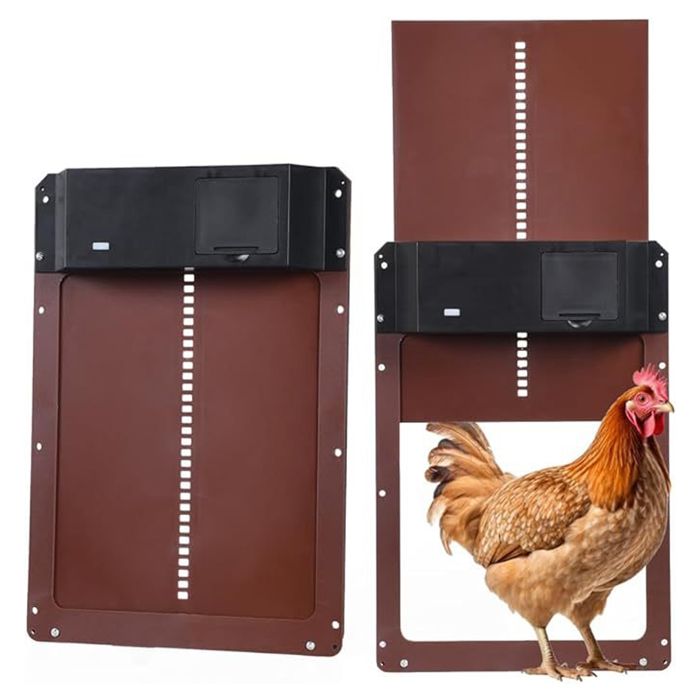 Meilleurs prix pour Ouvre-porte automatique pour poulailler avec capteur de lumière Porte pour poulailler Résistant à leau Alimenté par batterie