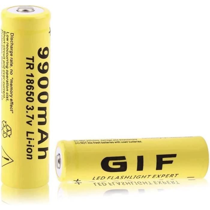 2 Batteries Li-ion 900mAh 3.7V Avec Chargeur USB SM-2P – Pour Bateaux, Chars, Voitures Et Robots RC – Prise Européenne
