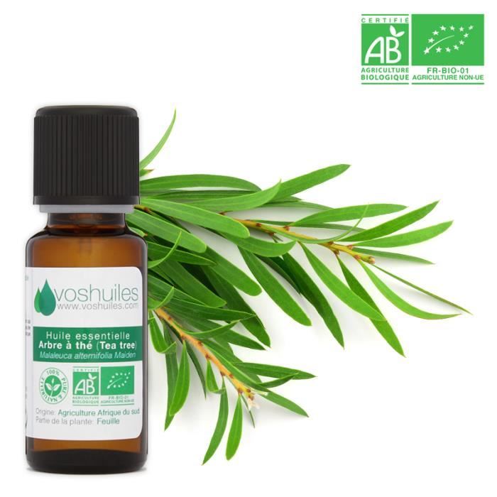Huile Essentielle BIO d'Arbre à thé (Tea tree) 10ML - Cdiscount Santé - Mieux vivre