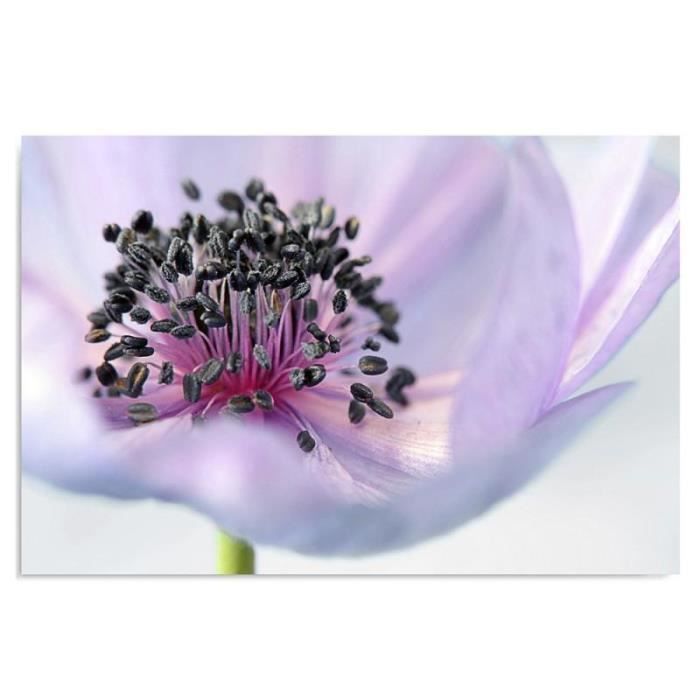 Tableau Sur Toile CANEVAS FLEUR – Cadre Photo Mural, Motif Floral, 44,5 X 21,5 Cm
