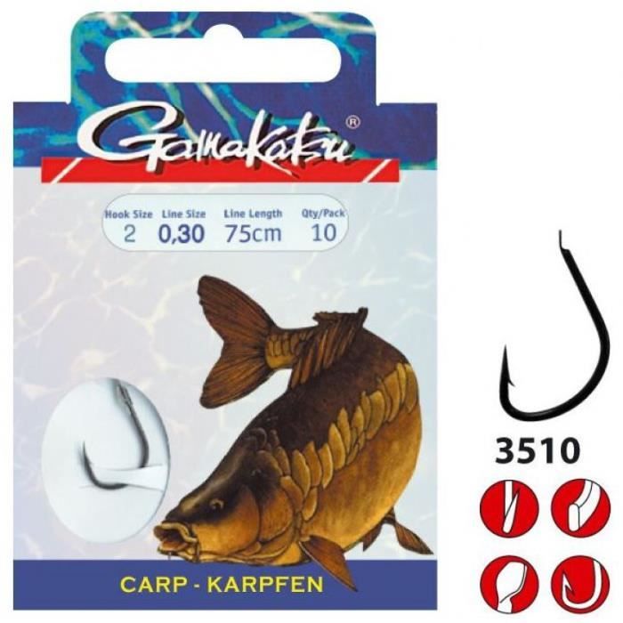 PRO FILSTAR Lot de 10 hameçons de pêche avec bas de