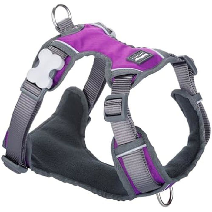 Harnais pour Chien Red Dingo Lisse 30-48 cm Violet main image 1