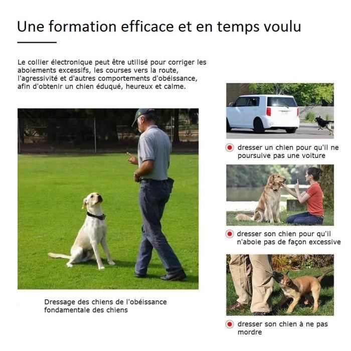 Collier Anti-aboiement Pour Chien - Rechargeable, étanche, Portée 1000m - 4 Modes Sécurité (bip, Vibration, Stimulation)
