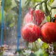 Tuteurs à tomates lot de 2, 76 cm - 10039793-0-2