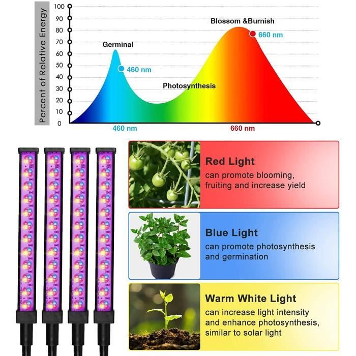 Lampe Plantes Interieur LED Horticole USB Spectre Complet Lampe de  Croissance pour Semis Succulentes Orchidee Auto on-Off 4H - A375 -  Cdiscount Jardin