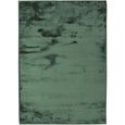 FLANELLE - Tapis extra-doux effet velours 120 x 170 cm Vert foncé-0