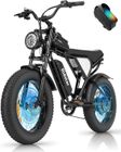 RIDSTAR Vélo Électrique-20"*4.0 pneus tout terrain-Moteur 1000W-Batterie Amovible 48V/15.6Ah-Autonomie 40-60km-Shimano 7 vitesses-Noir
